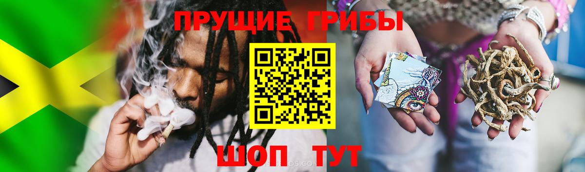 Псилоцибиновые грибы GOLDEN TEACHER Мурманск